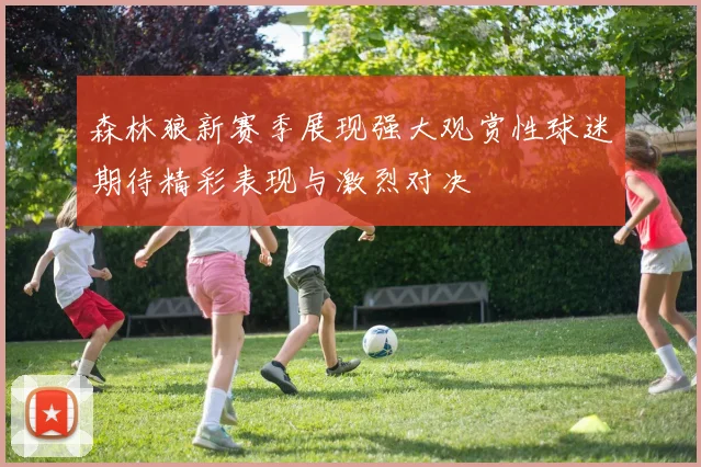 森林狼新赛季展现强大观赏性球迷期待精彩表现与激烈对决