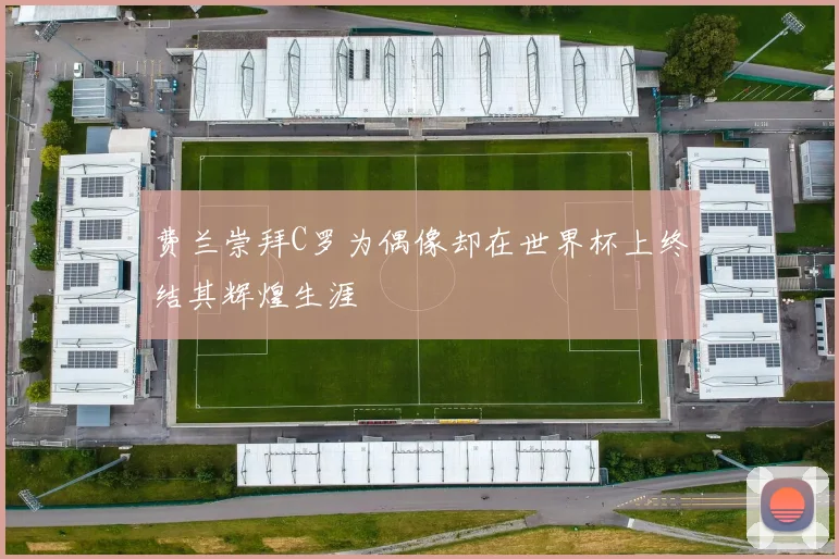 费兰崇拜C罗为偶像却在世界杯上终结其辉煌生涯