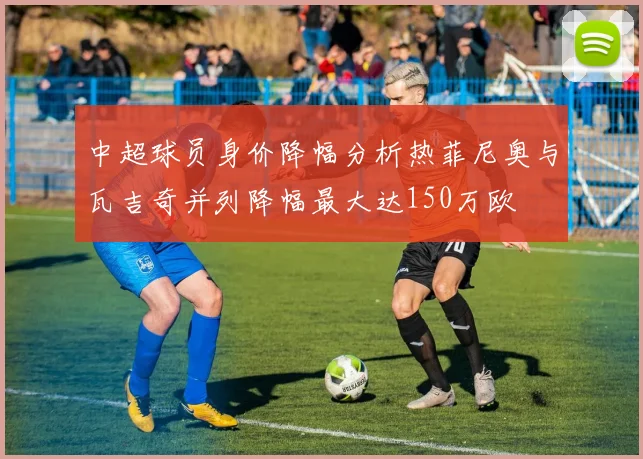 中超球员身价降幅分析热菲尼奥与瓦吉奇并列降幅最大达150万欧